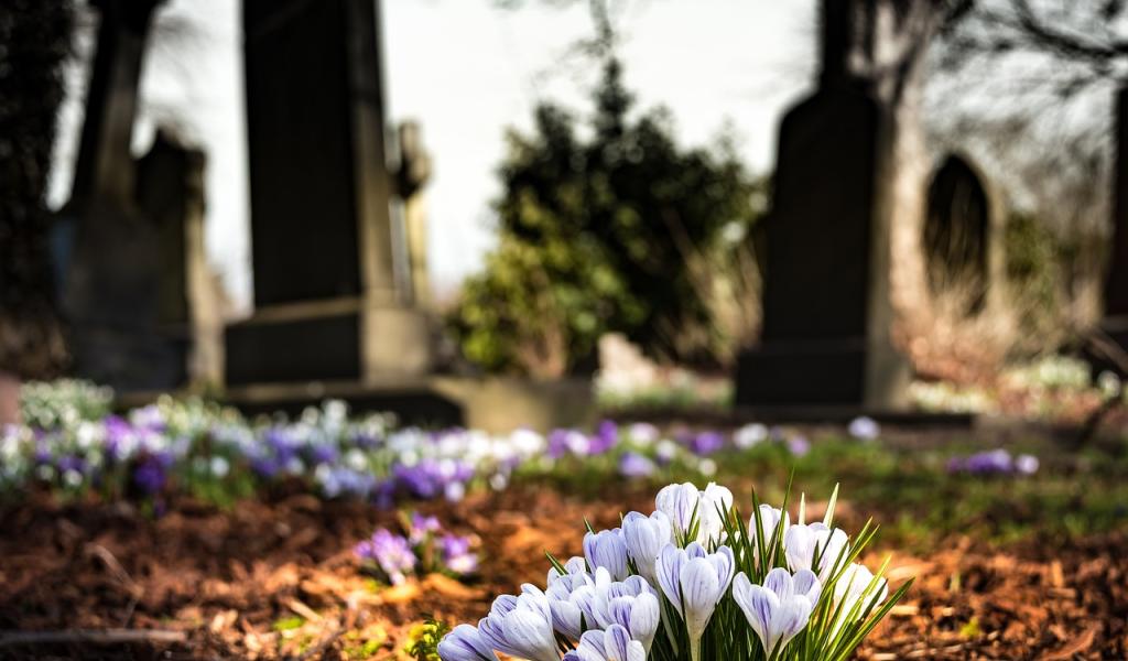 Ham-sur-Heure/Nalinnes: Rencontre citoyenne pour la végétalisation des cimetières