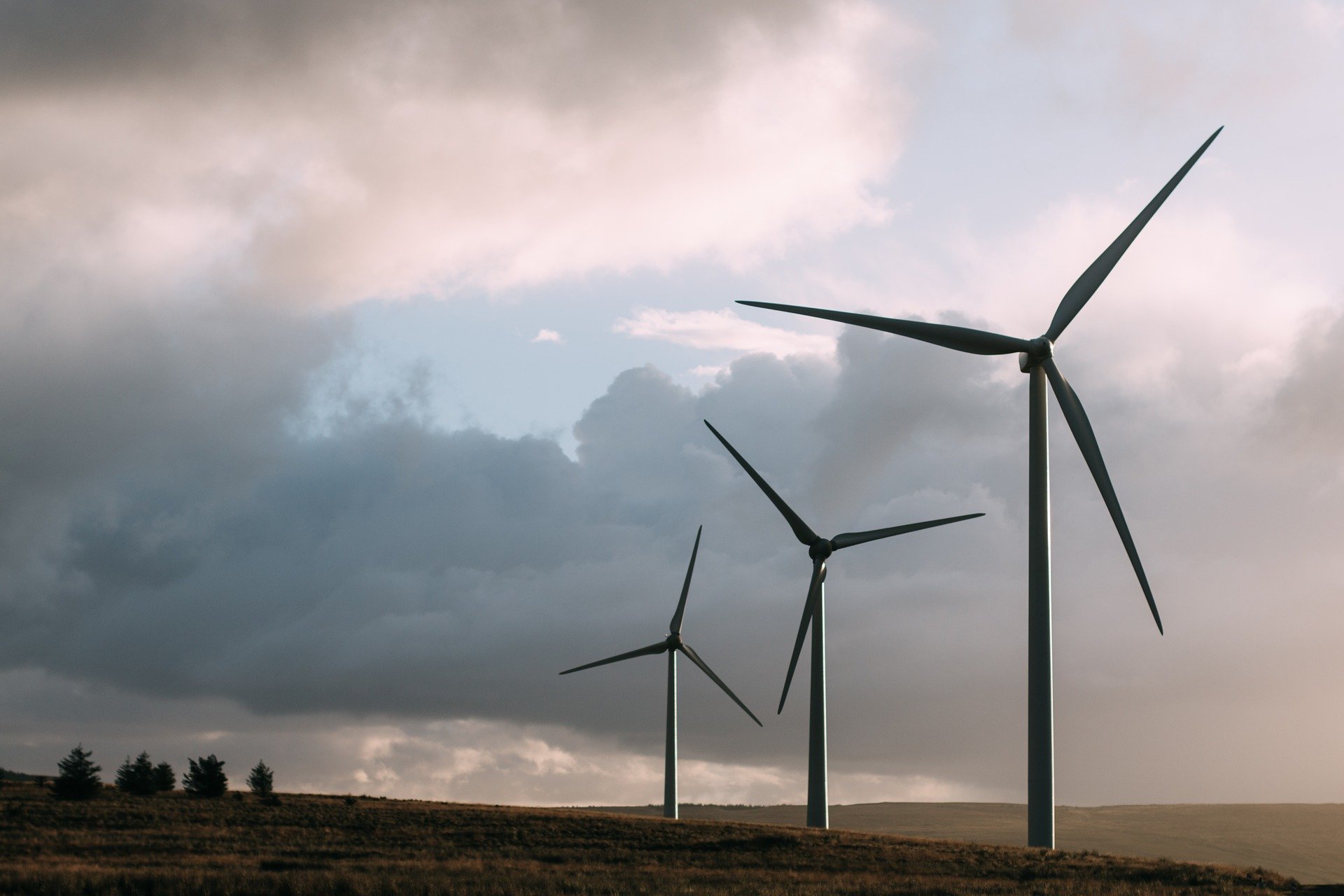 Willy Borsus veut proposer une consultation populaire sur l'avenir de l'éolien en Wallonie