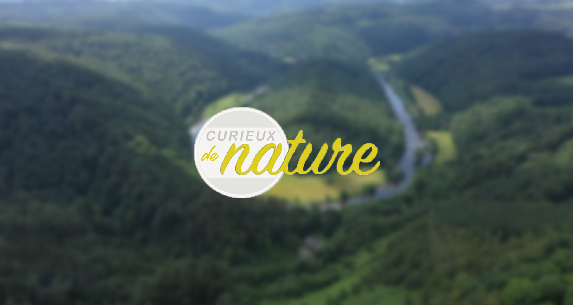 Curieux de Nature : Le blaireau, le petit ours de nos forêts