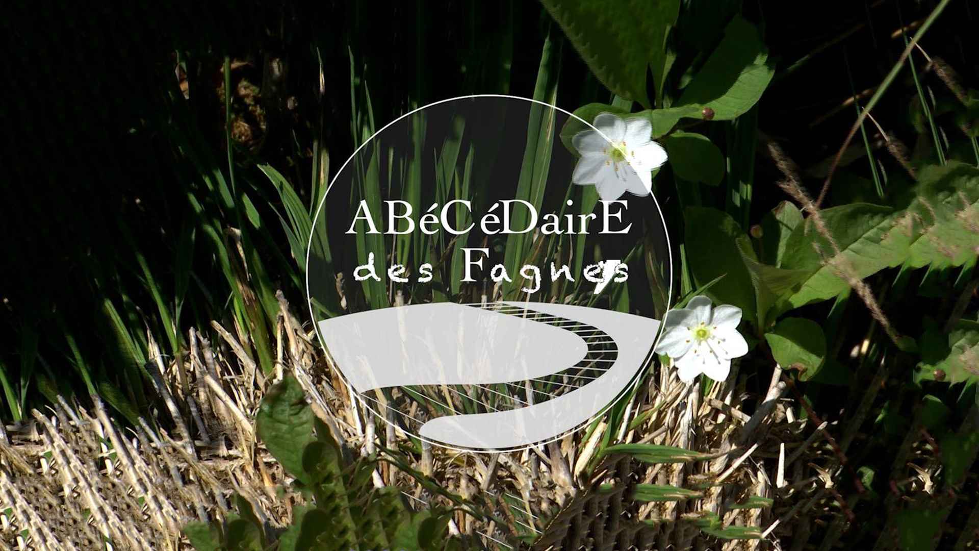 L'ABéCédaire des Fagnes : Il était une fois les Fagnes