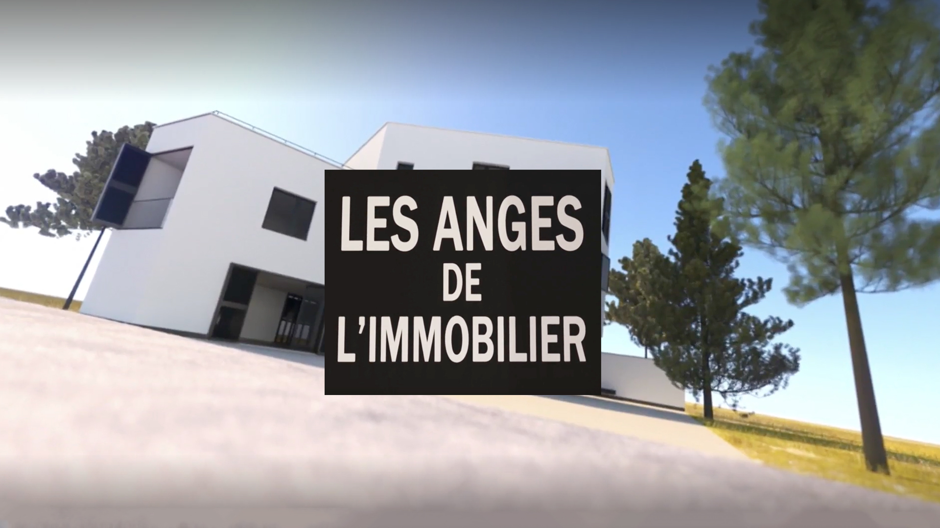 LES ANGES DE L'IMMOBILIER : Les villas de vacances