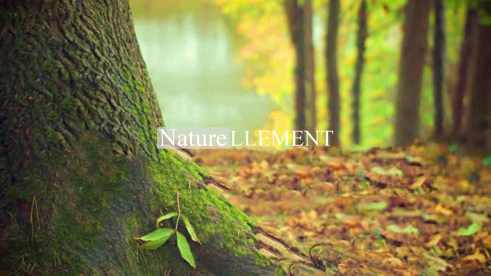 Naturellement : A la découverte de Mettet