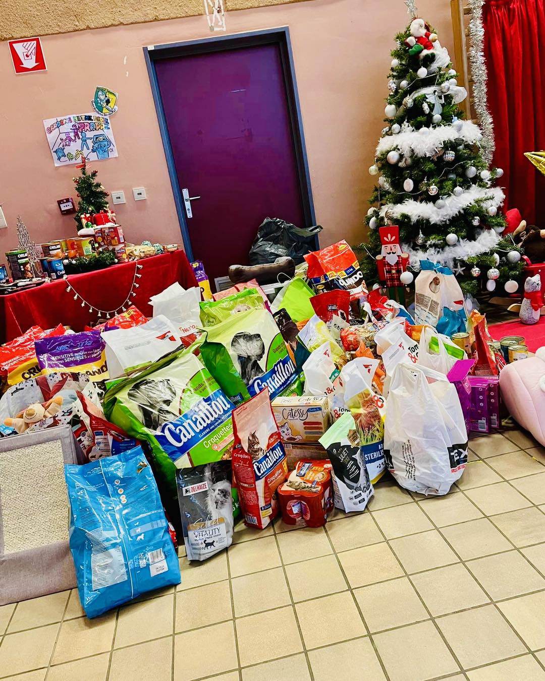 Farciennes : Plus de 550 kg de nourriture et accessoires pour le Noël des animaux