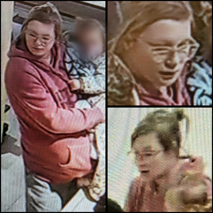 Appel à témoins: la police recherche ce couple