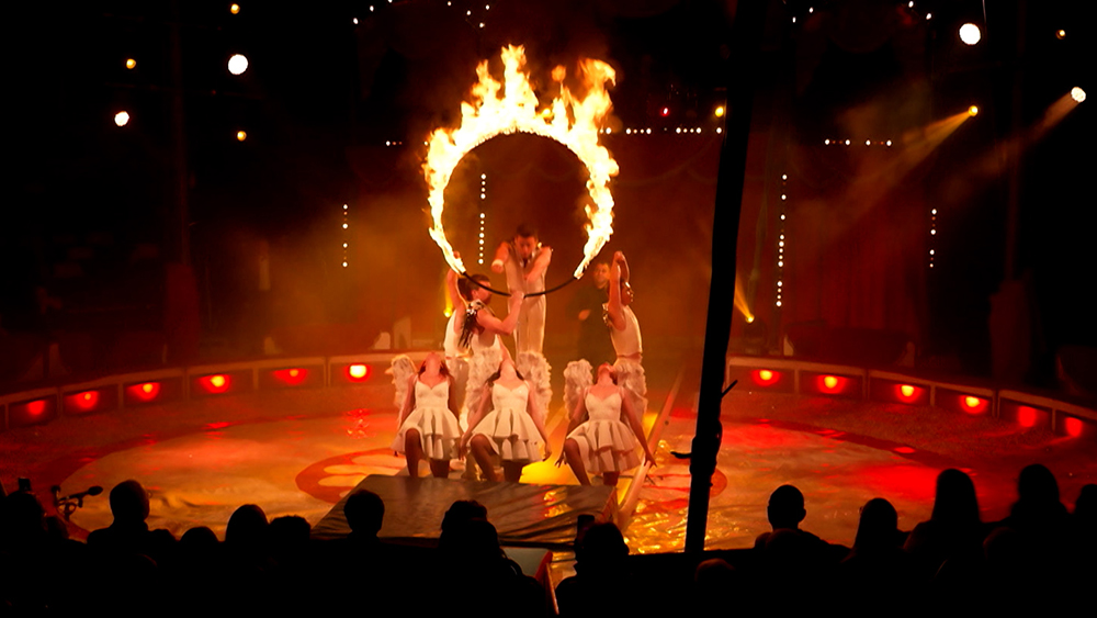 Festival du Cirque de Namur