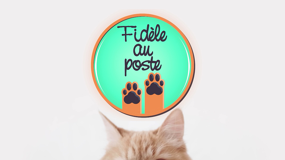 Fidèle au Poste - Céline et ses chats