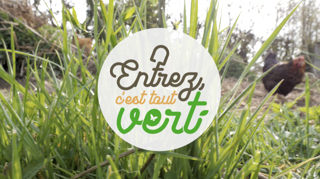 Entrez, c'est tout vert : Coup de projecteur sur la serre !