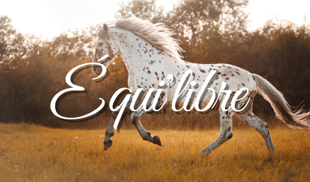 Equi'libre : Best of