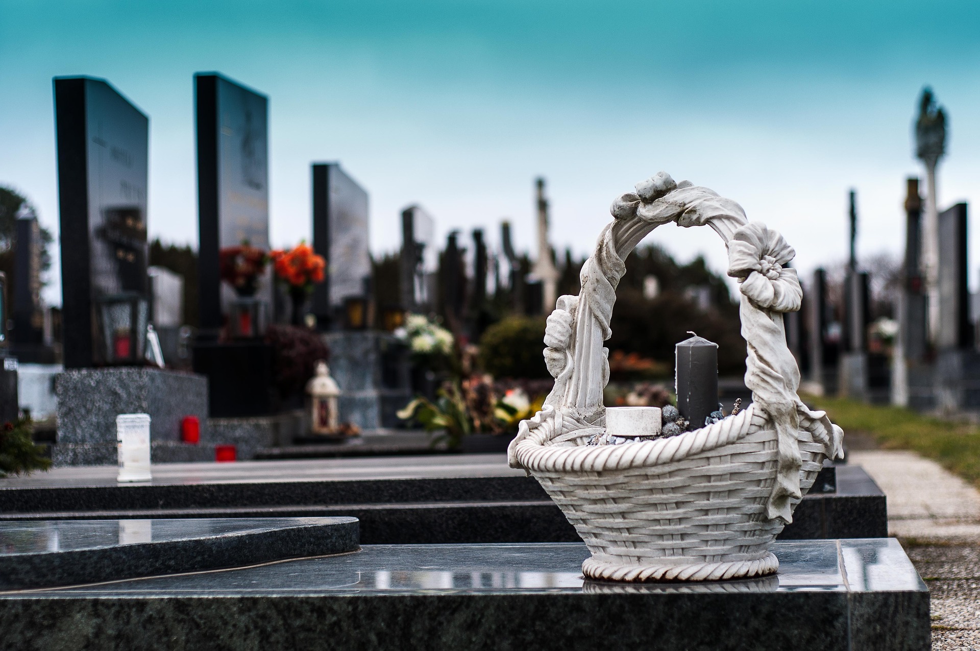 L'inhumation avec son animal : la Wallonie réglemente