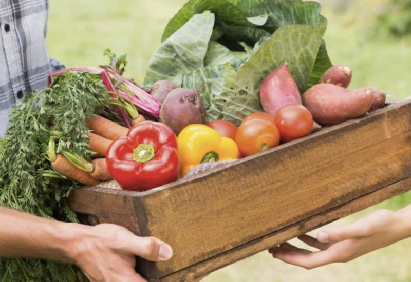 Consommation : Encore plus de bio dans les supermarchés