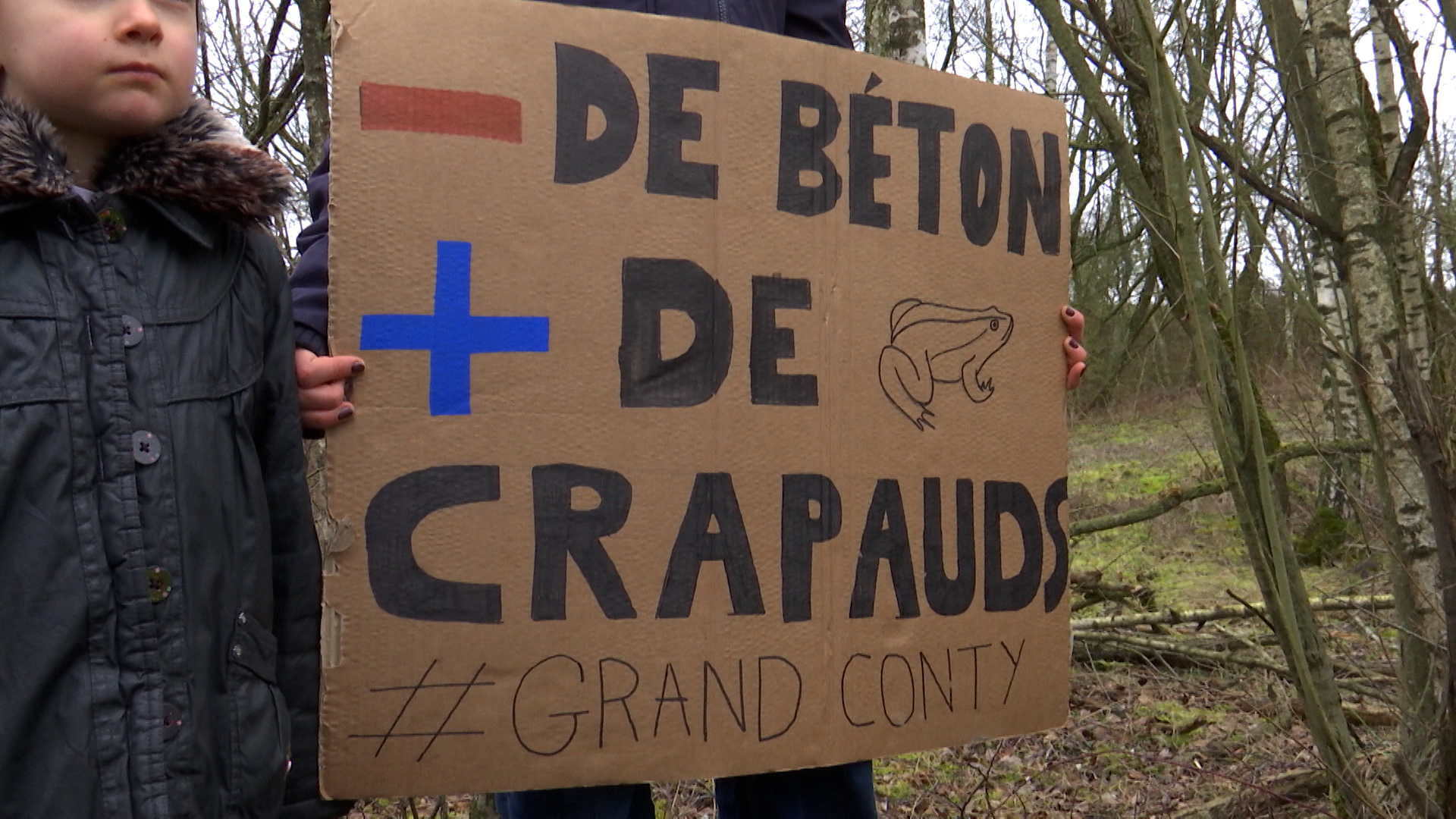 Gosselies: La biodiversité du terril du Grand Conti est menacée par un projet industriel