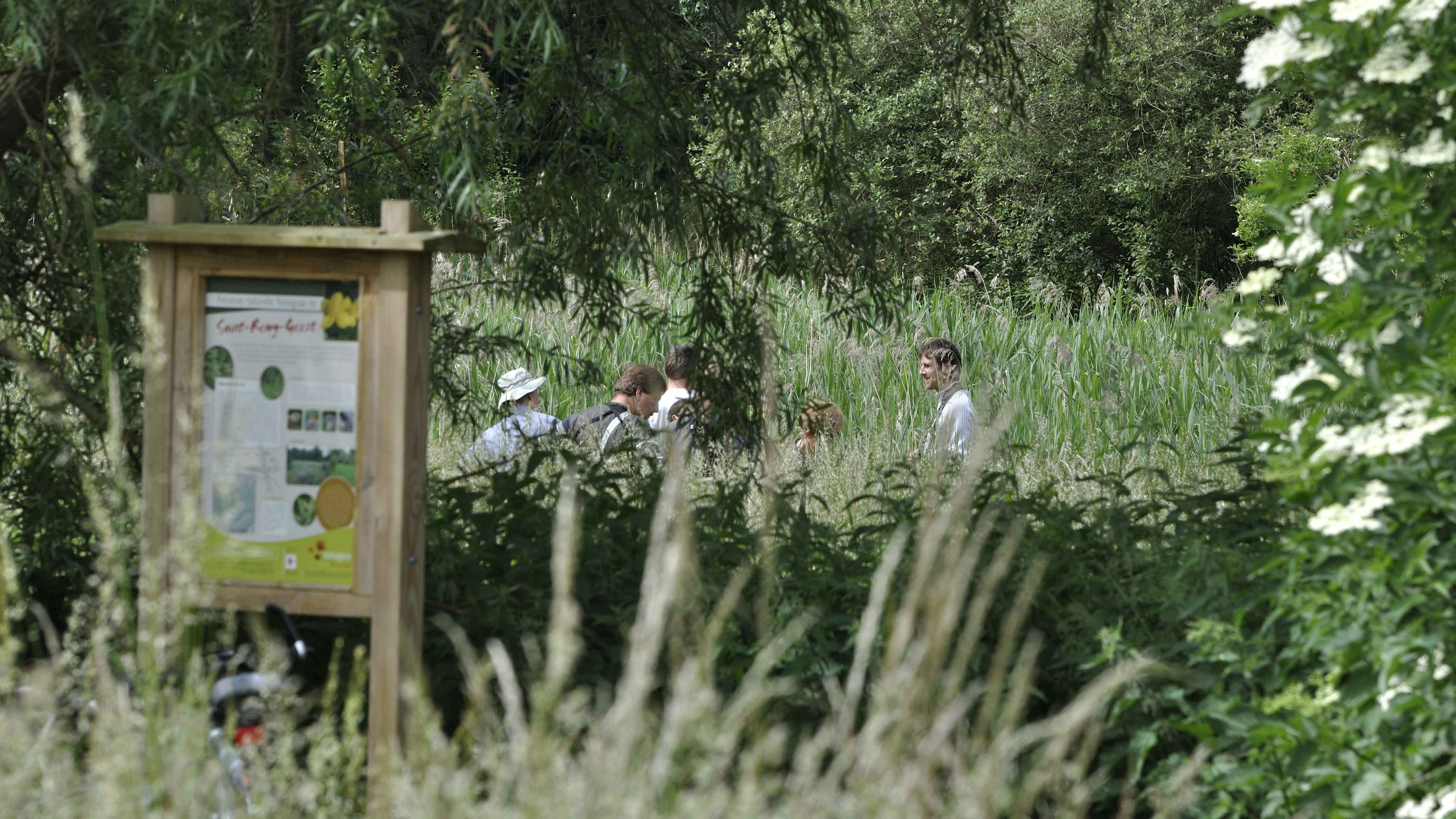 Natagora organise des balades en coulisse dans ses réserves naturelles