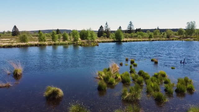 L'ABéCédaire des Fagnes : G comme Gardiens !