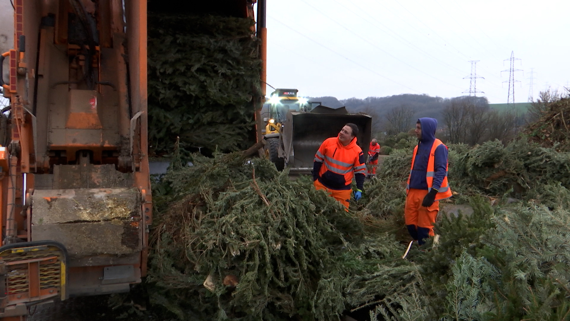 Rappel: La collecte Tibi des sapins de Noël débute demain !