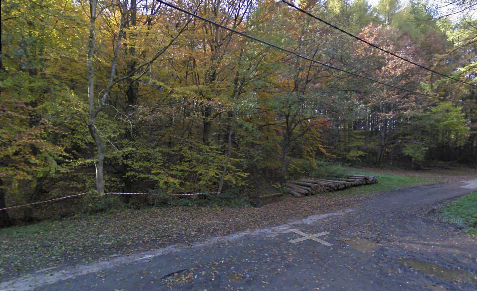 Deux corps calcinés ont été retrouvés dans le bois de Baileux