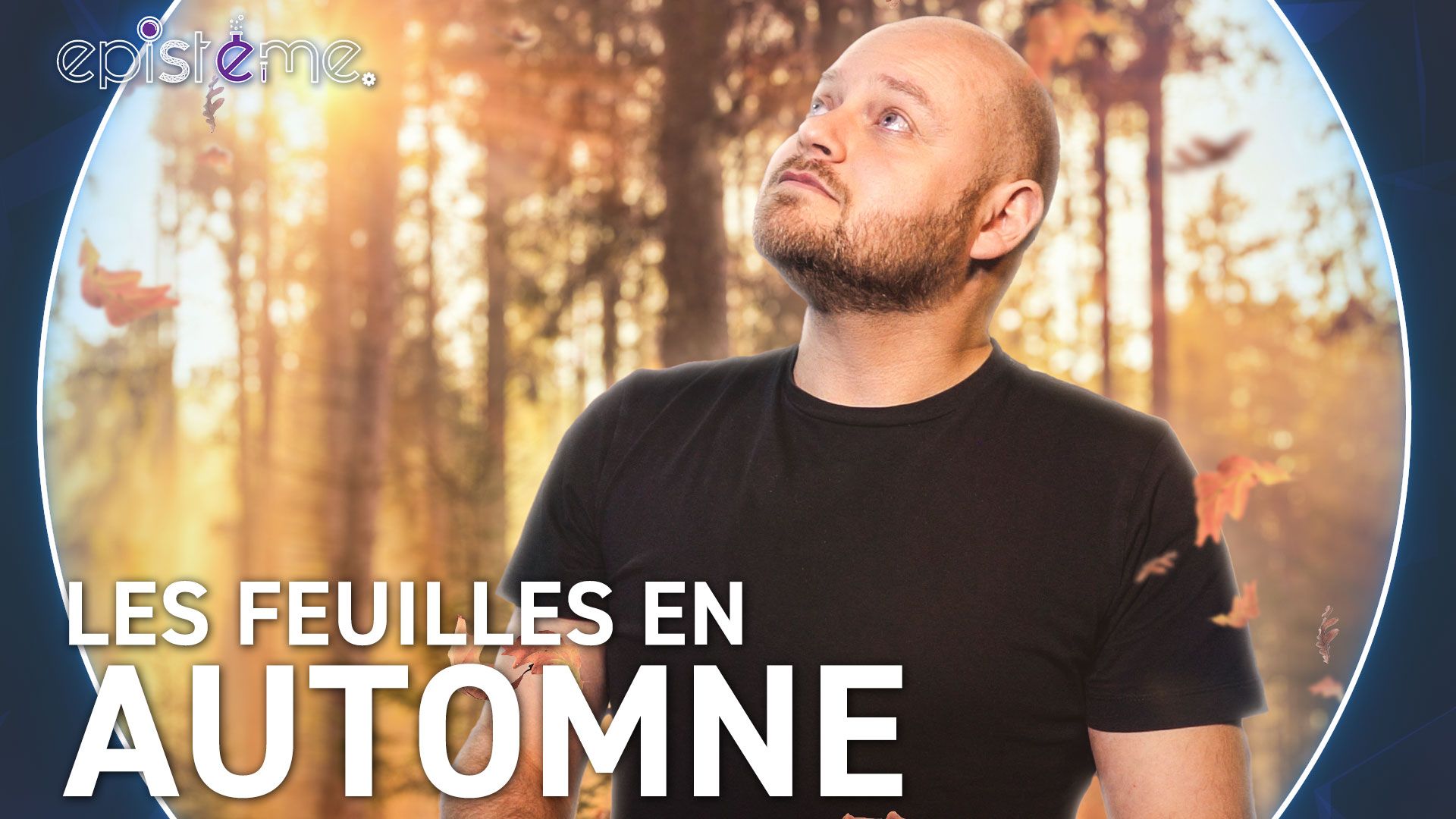 Epistème : Pourquoi les feuilles changent-elles de couleur ?