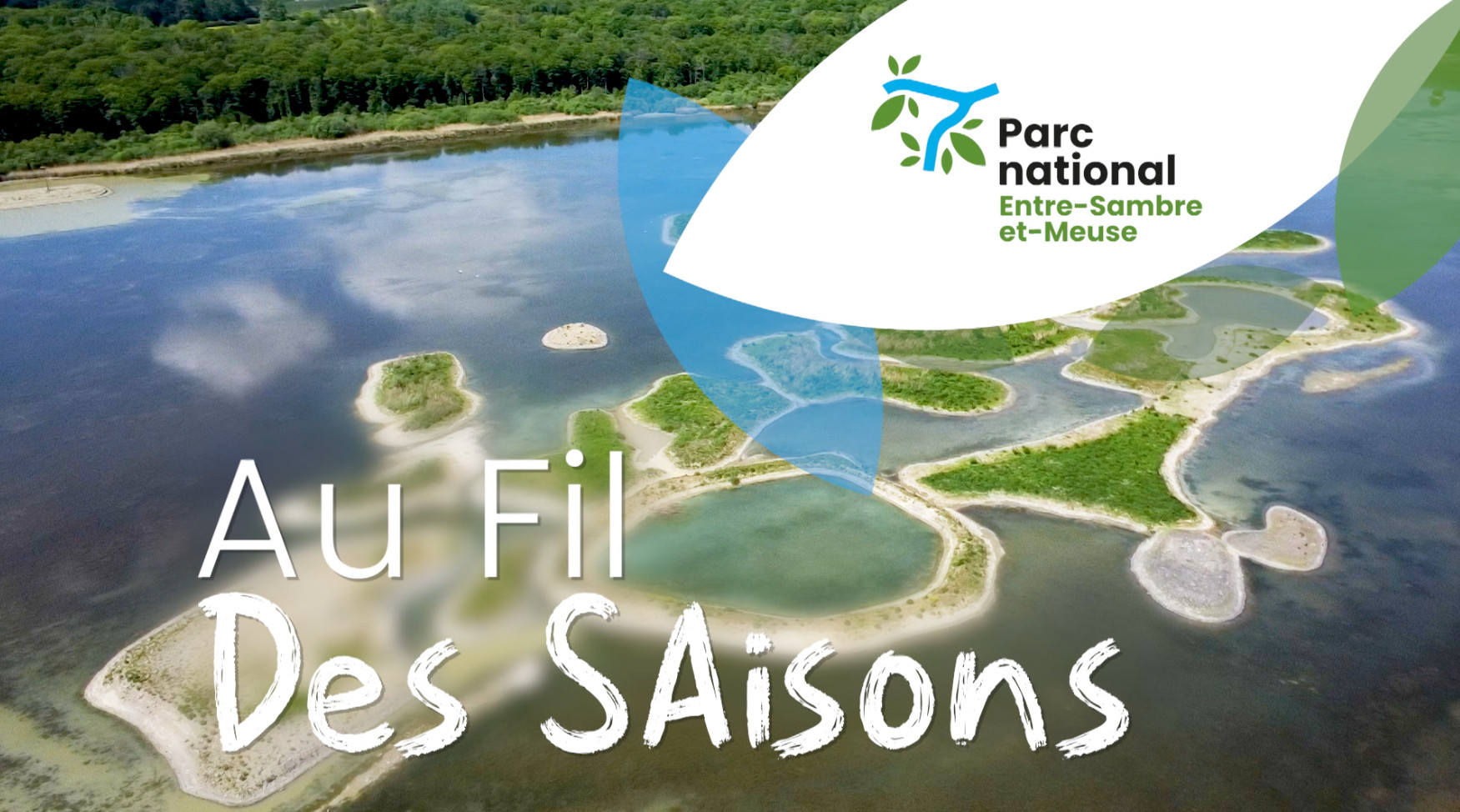 Au fil des saisons : l'automne