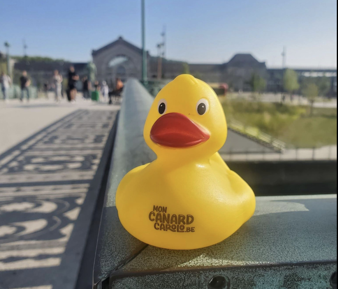 La toute première course de canards débarque à Charleroi