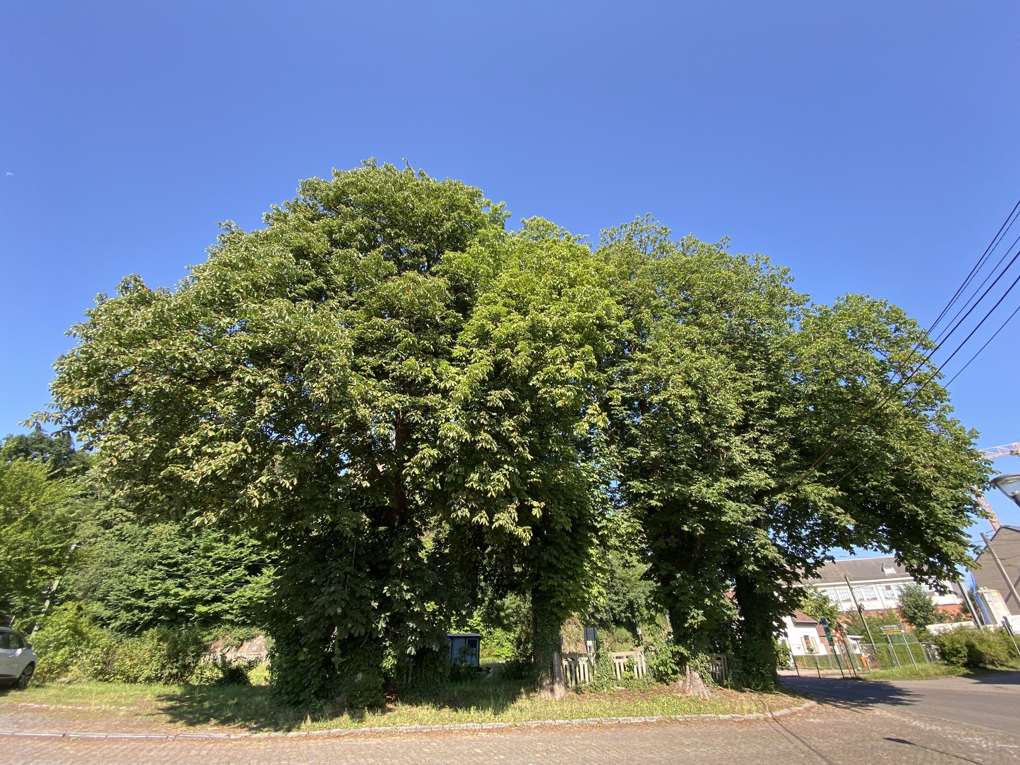 Thuin : la mobilisation contre le projet immobilier sur l’ancienne gare se poursuit