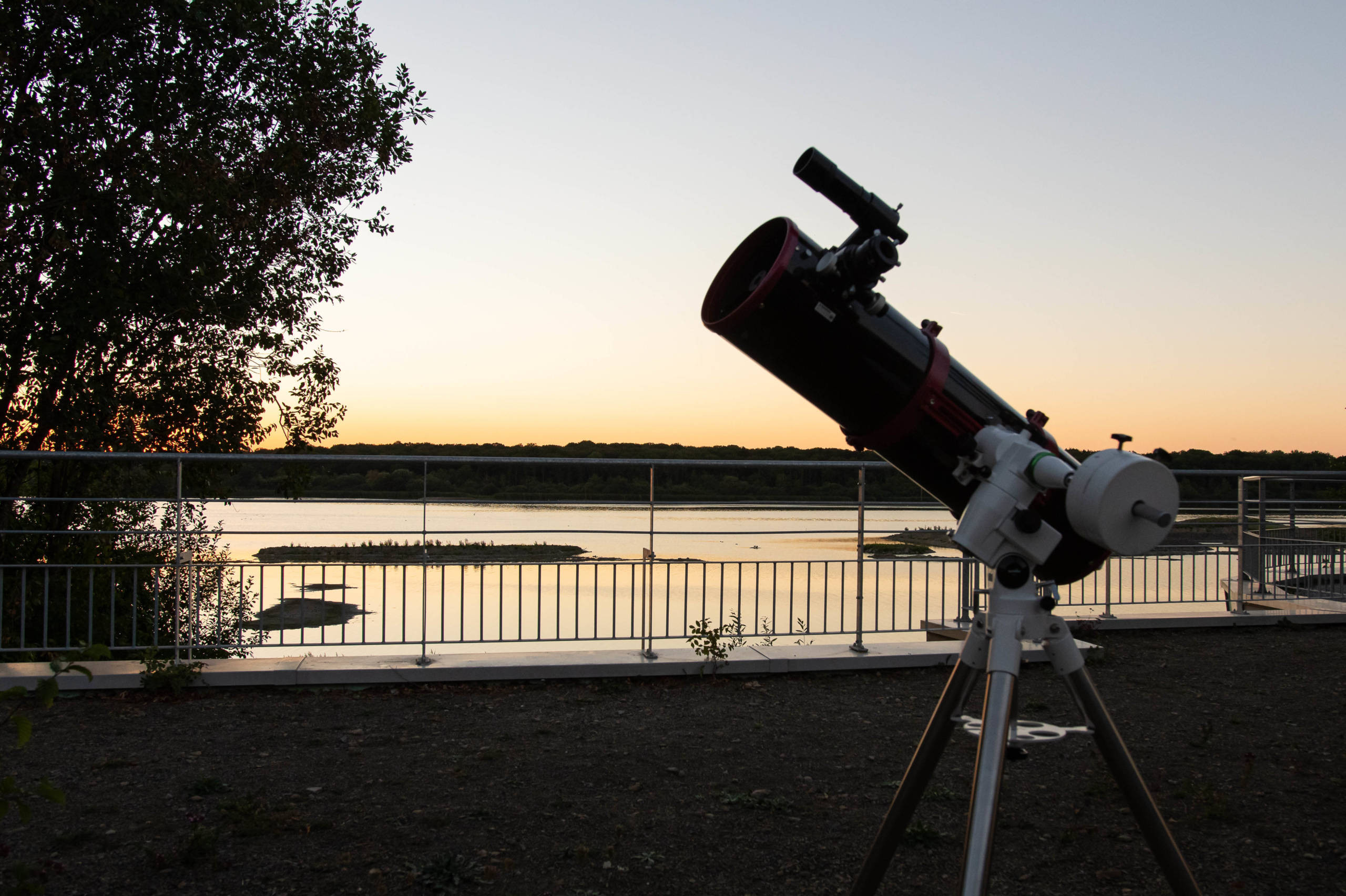 Virelles : Une nuit à la belle étoile... filante