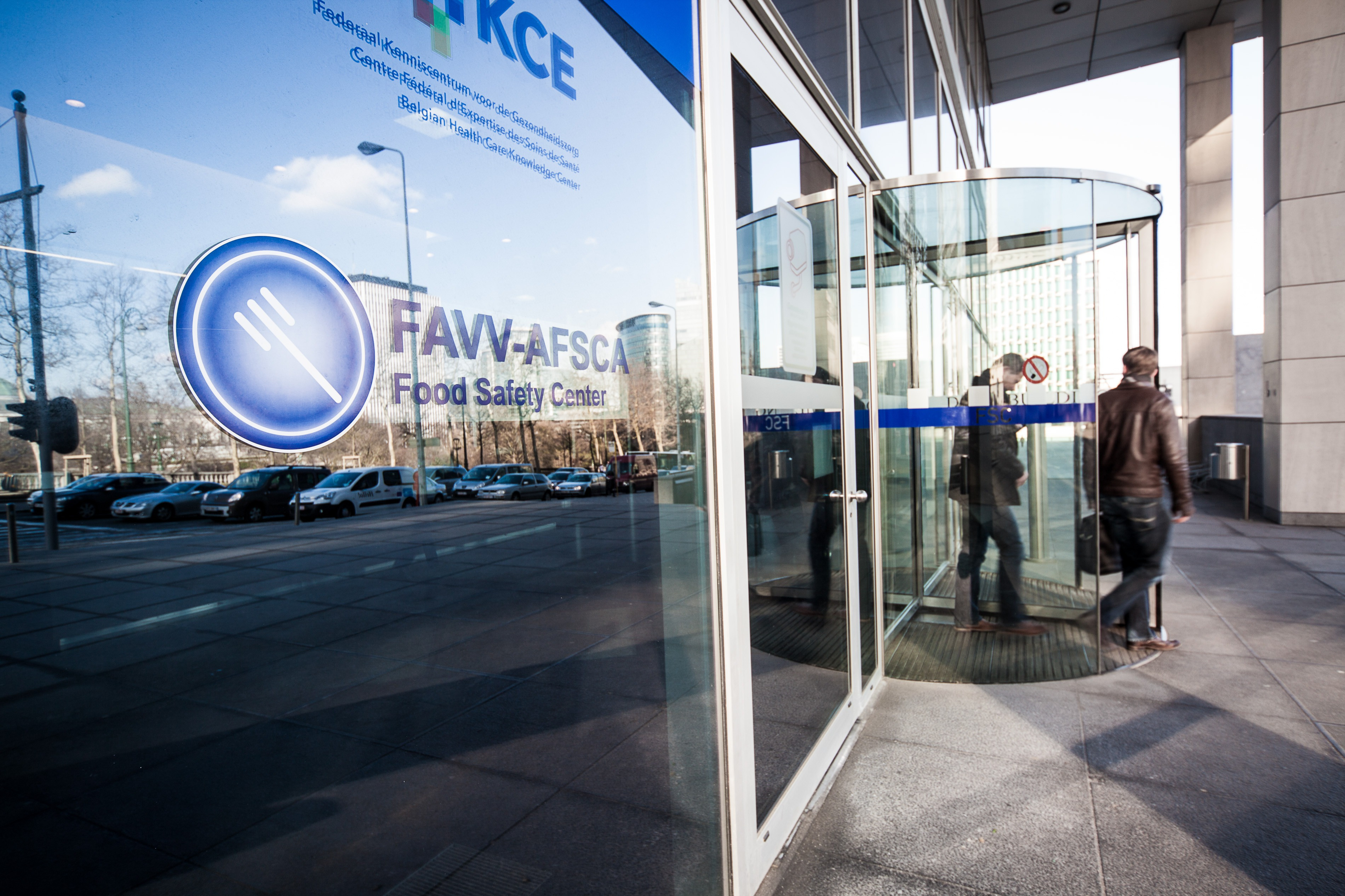 Rappel de feuilles de vigne de la marque LARA