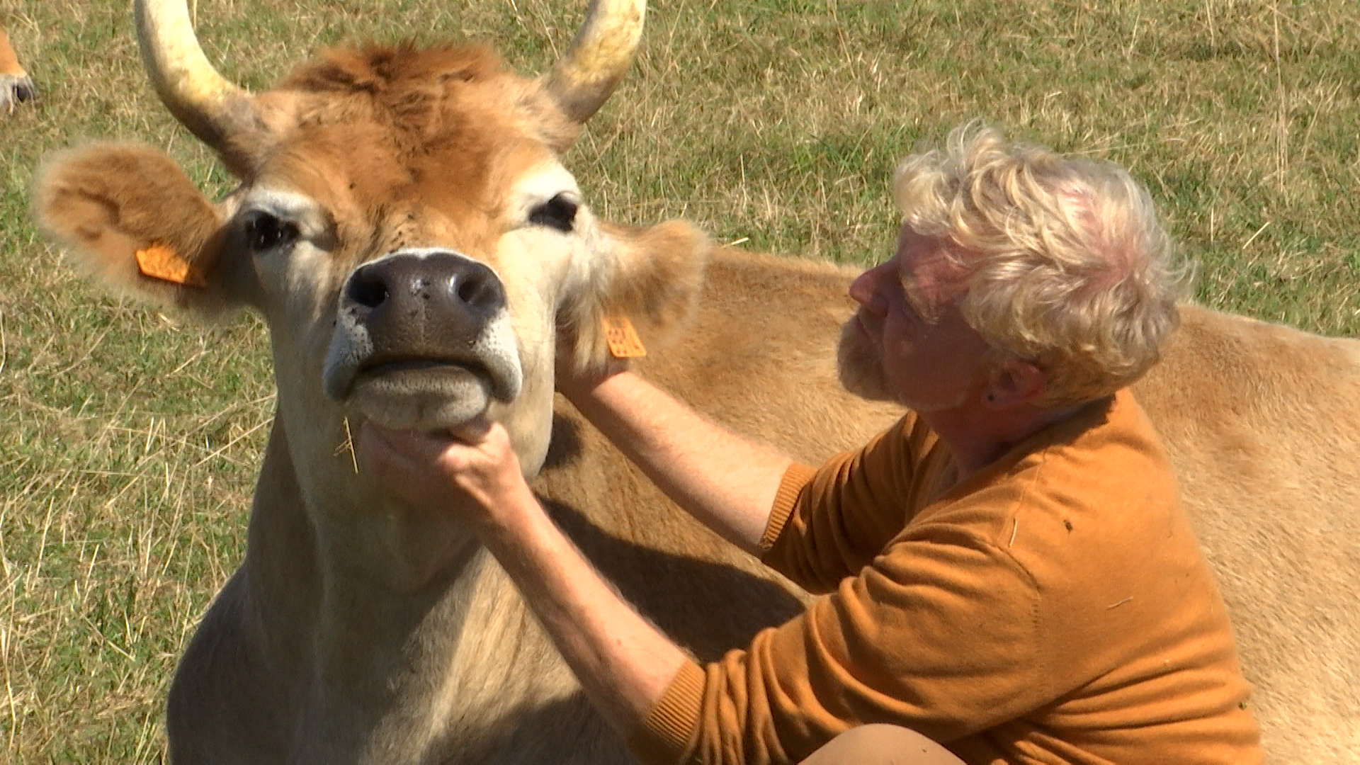 Le sanctuaire "L'aurore" organise une marche solidaire, le 19 octobre à Gozée