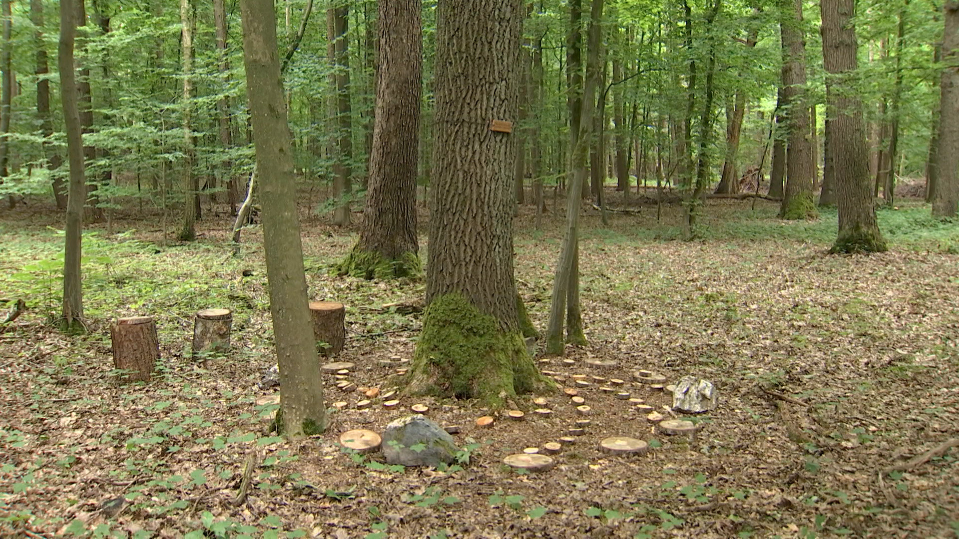 Les six hôpitaux du Grand Charleroi et de Chimay accueilleront un Espace du Souvenir