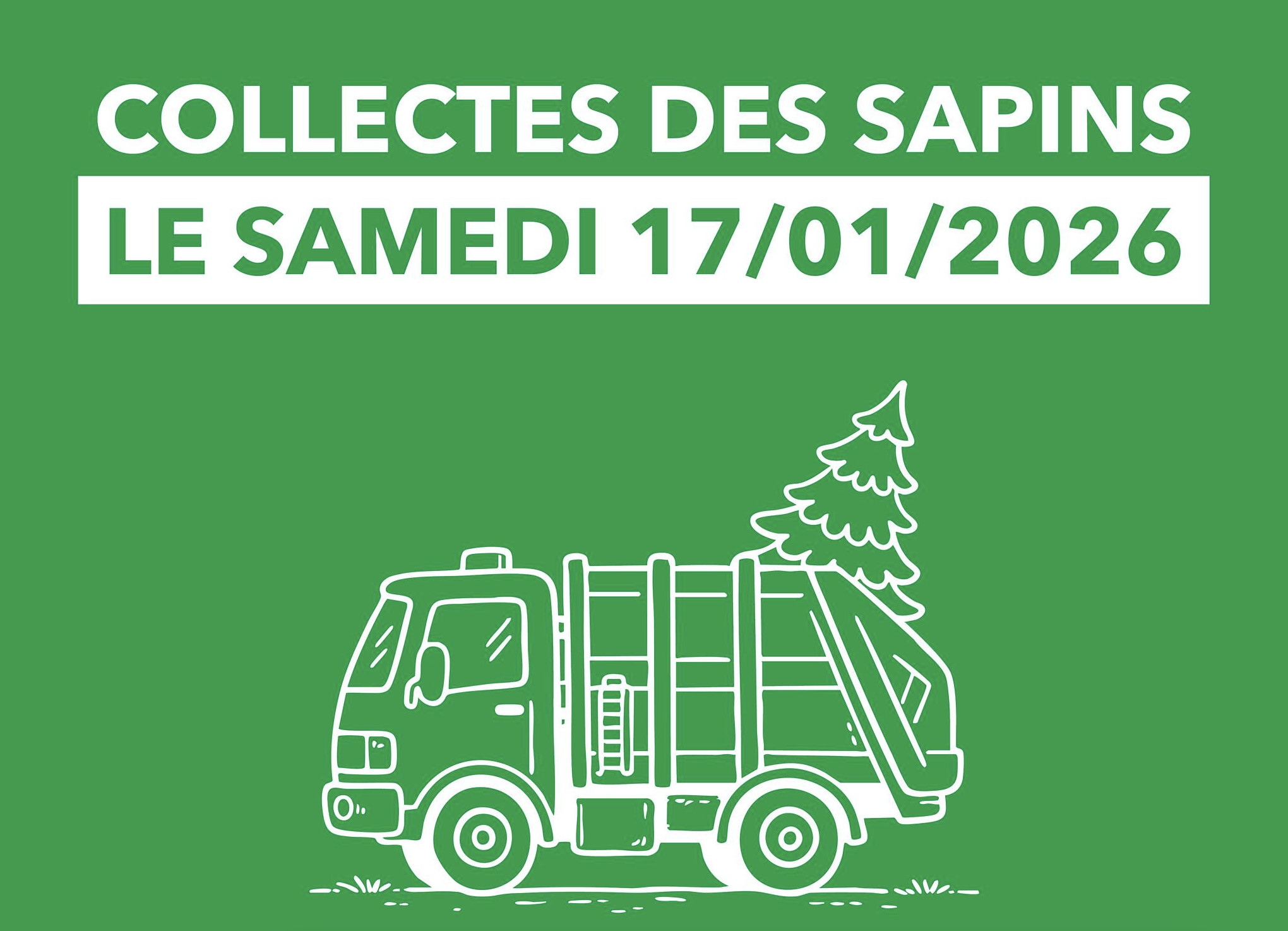 Tibi : le ramassage des sapins de Noël se fera le 17 janvier