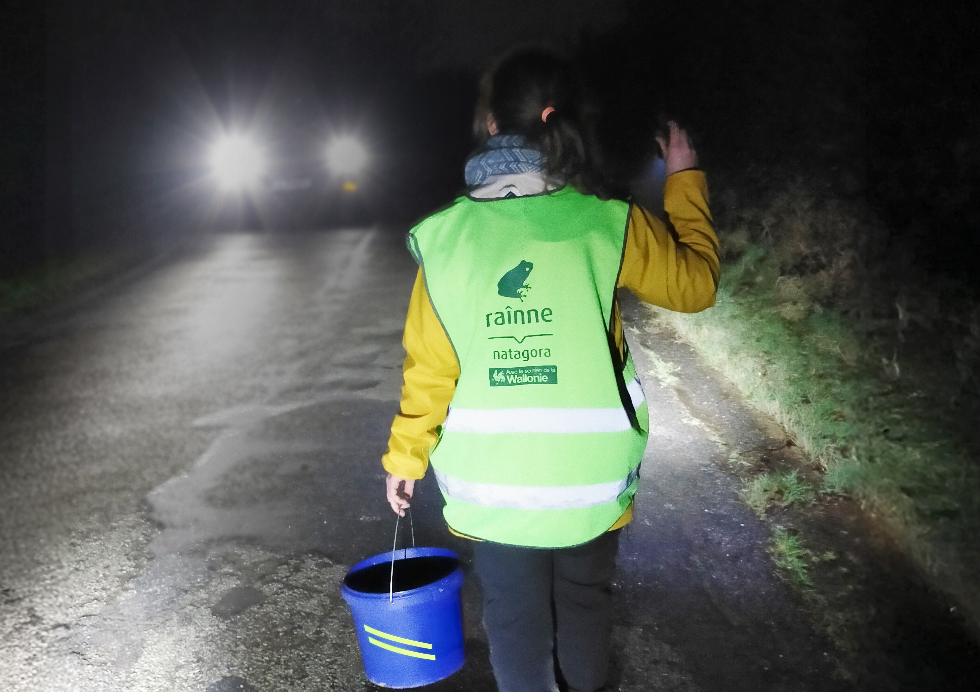 Natagora démarre les opérations de sauvetage des batraciens