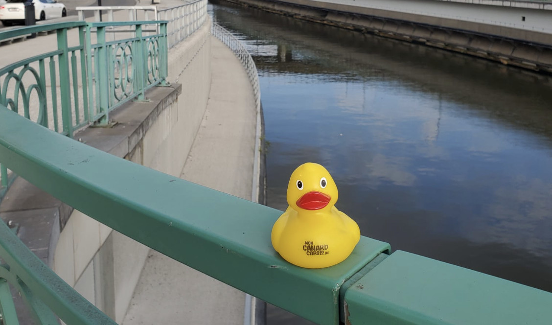 L'édition 2026 de Mon Canard Carolo est sur les rails et lance son appel à projets!