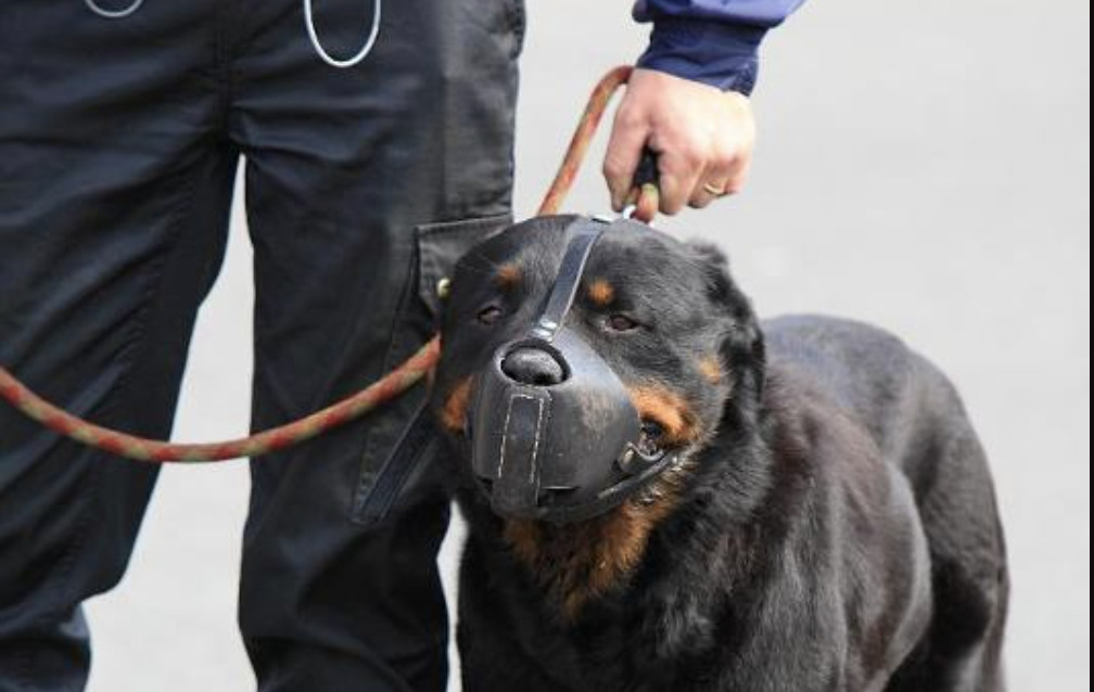 Salon des métiers de la Sécurité, le18 avril 2026 à Charleroi