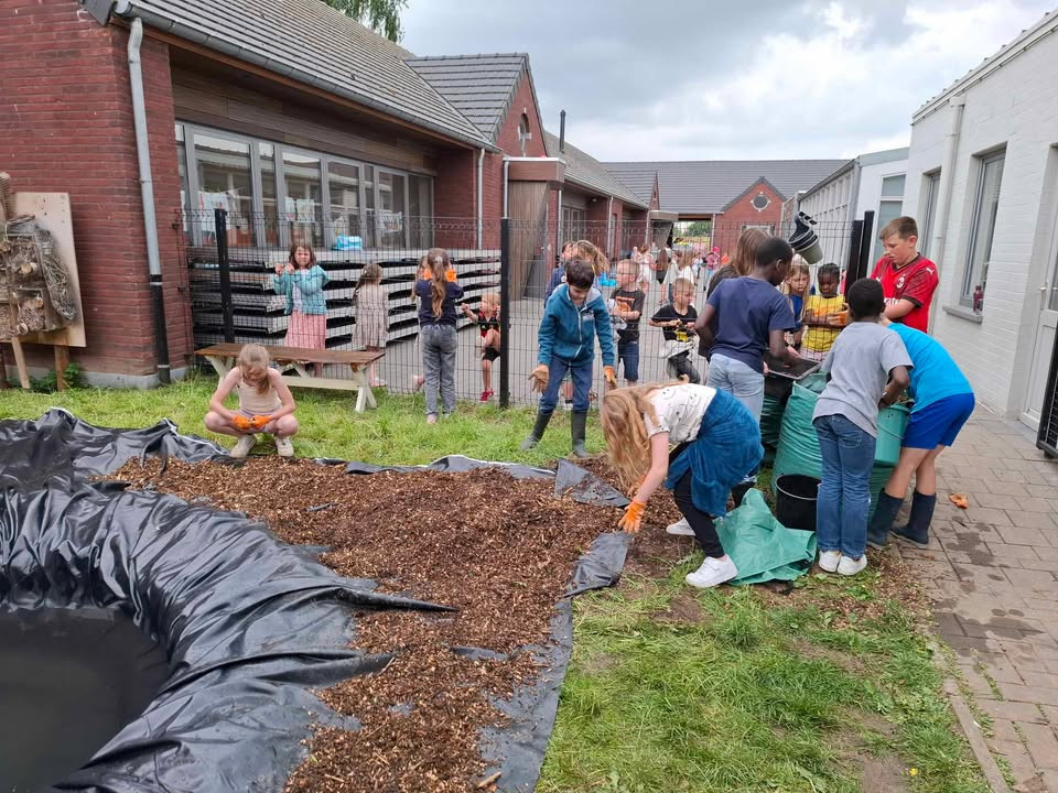 “Ose le vert, recrée ta cour” est de retour et évolue
