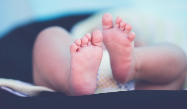 Mise en garde de l'Afsca pour des aliments pour bébés commercialisés en Autriche