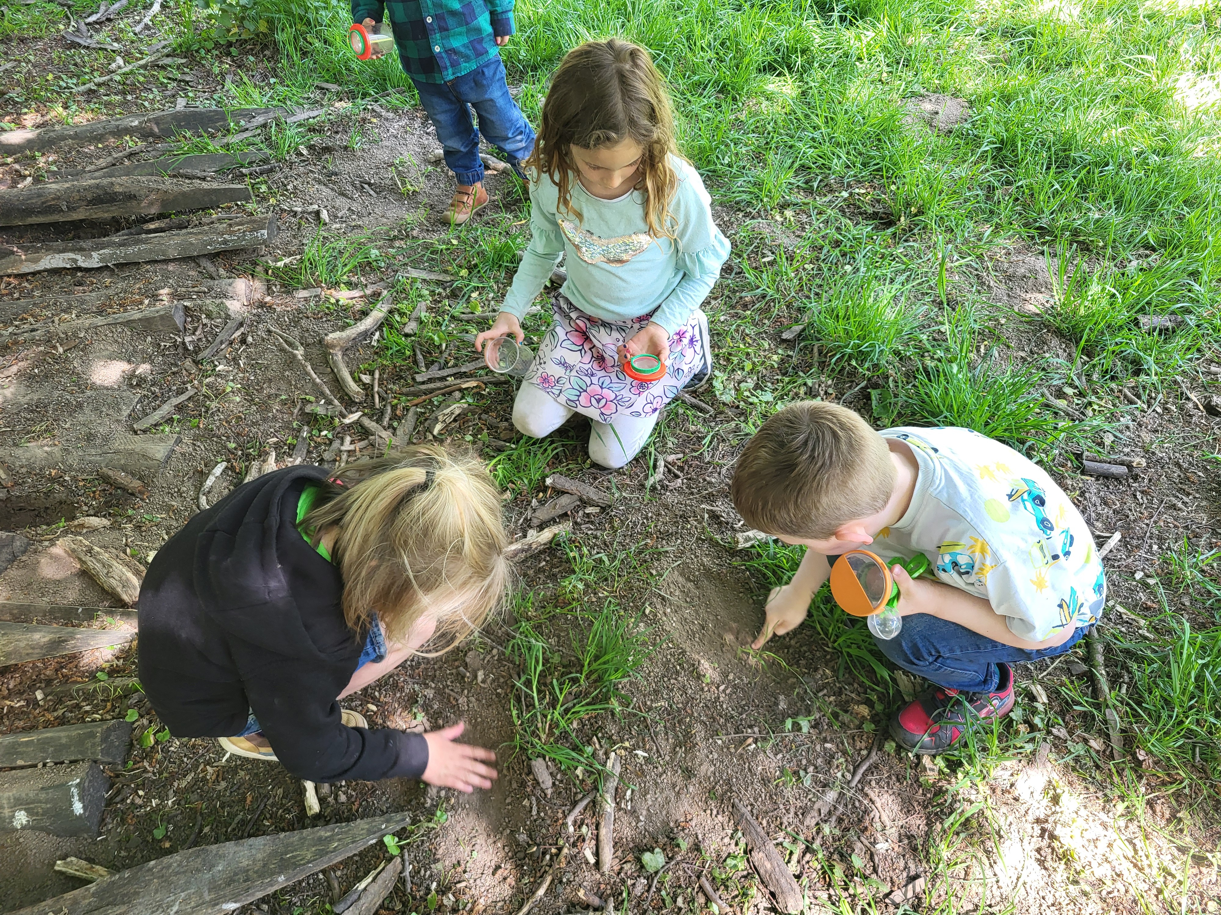 Anderlues : Havre de Nature, des animations scolaires et extrascolaires qui relient les enfants à la nature