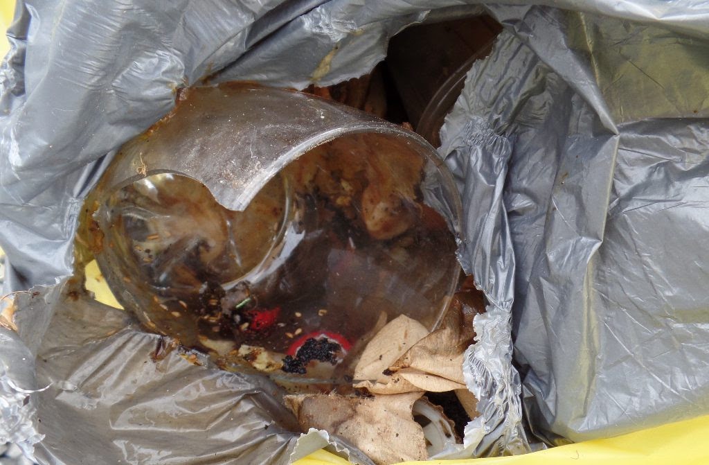 Un collecteur blessé lors de la collecte d’ordures ménagères à Thuin