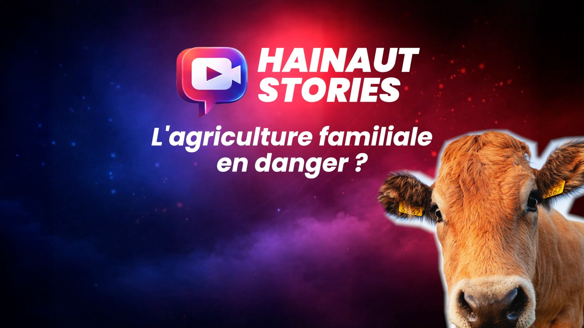 Hainaut Stories : l'agriculture familiale en danger ?