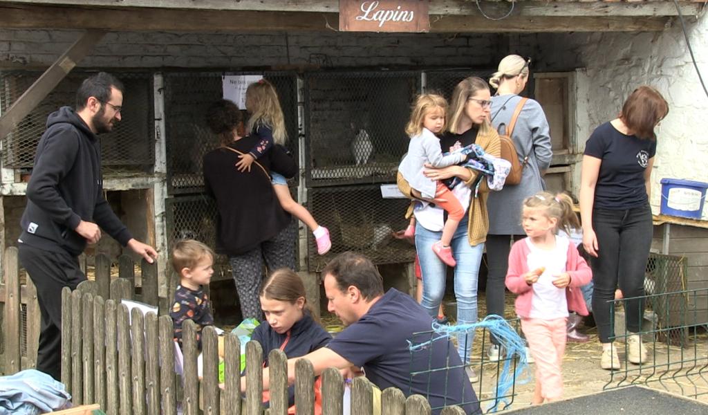 Plus de 60 fermes wallonnes ouvriront leurs portes au public les 27 et 28 juin