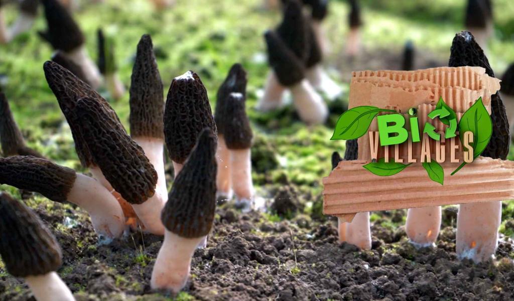 Bio Villages (septembre 2025)