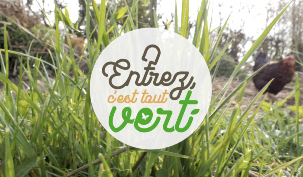 Entrez, c'est tout vert : Novembre, le mois des plantations