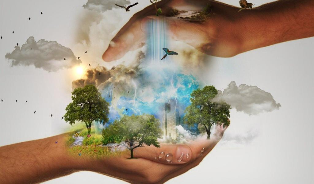 Ecolo dénonce l'accord en demi-teinte de la COP 30