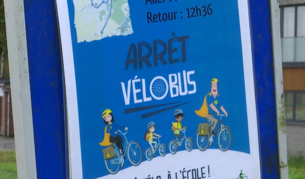 Ham-sur-Heure/Nalinnes : depuis un an, le Vélobus de l'école de Marbaix rencontre un vif succès !