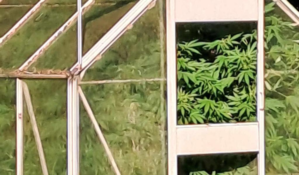 Peines de prison requises à l'encontre de trafiquants actifs en Wallonie et à Bruxelles