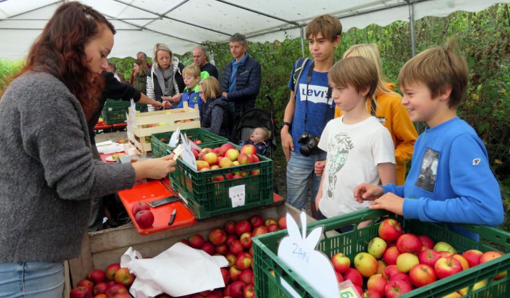 La Foire aux pommes à l'Aquascope Virelles, les 18 et 19 octobre