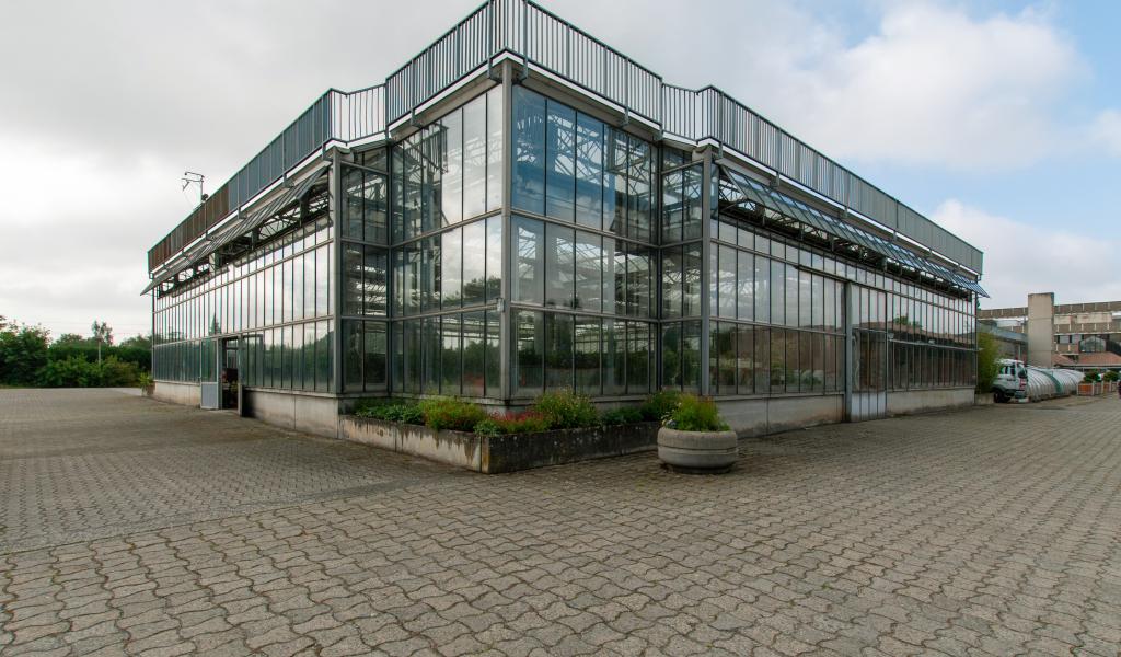 La Ville de Charleroi met fin à ses serres communales