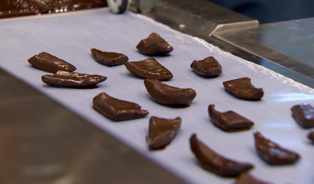 Journée mondiale du Chocolat : rencontre avec l'artisan Tarquin Fontaine à Nalinnes