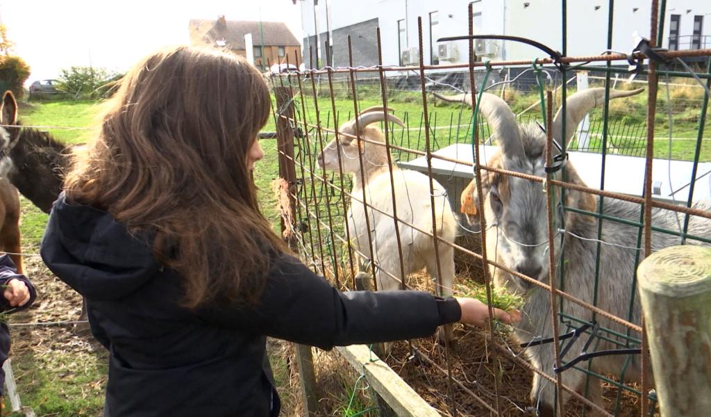 Gerpinnes: lancement du Festival 100% rural