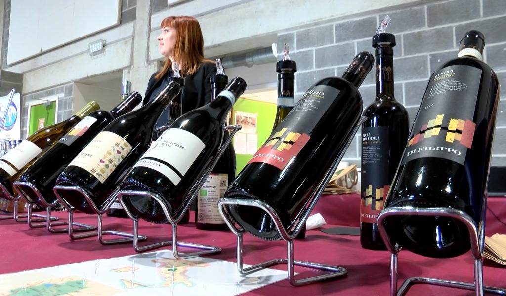 C Local : 5ème foire aux vins du Fifty-One à Beignée