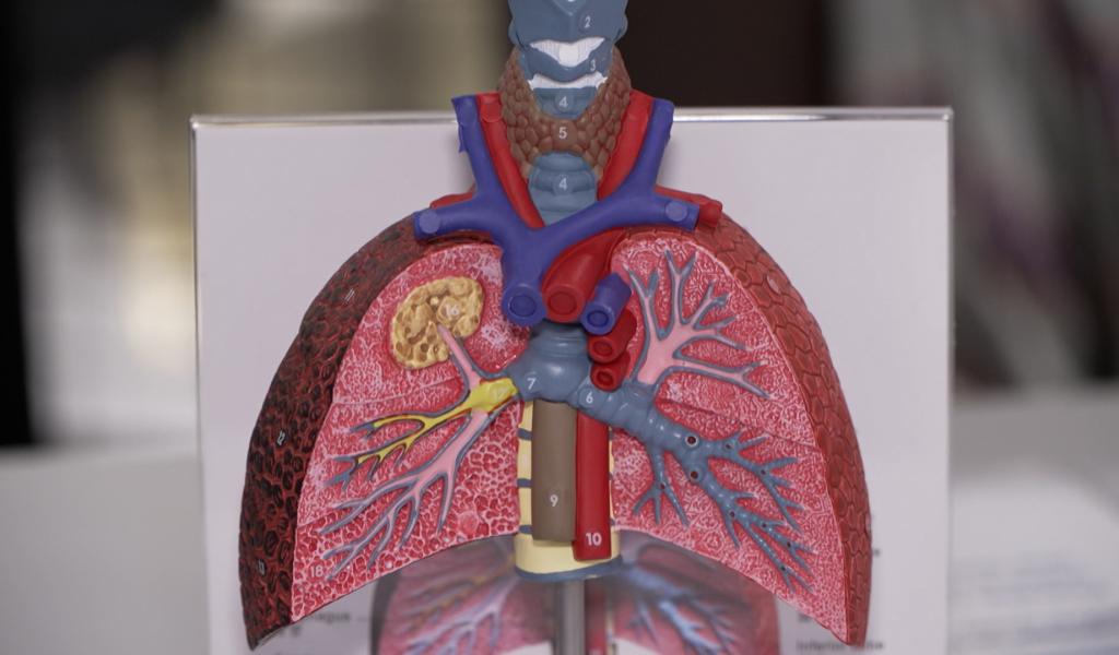 Le Grand hôpital de Charleroi alerte sur les dangers du tabac, de la vape et du cannabis