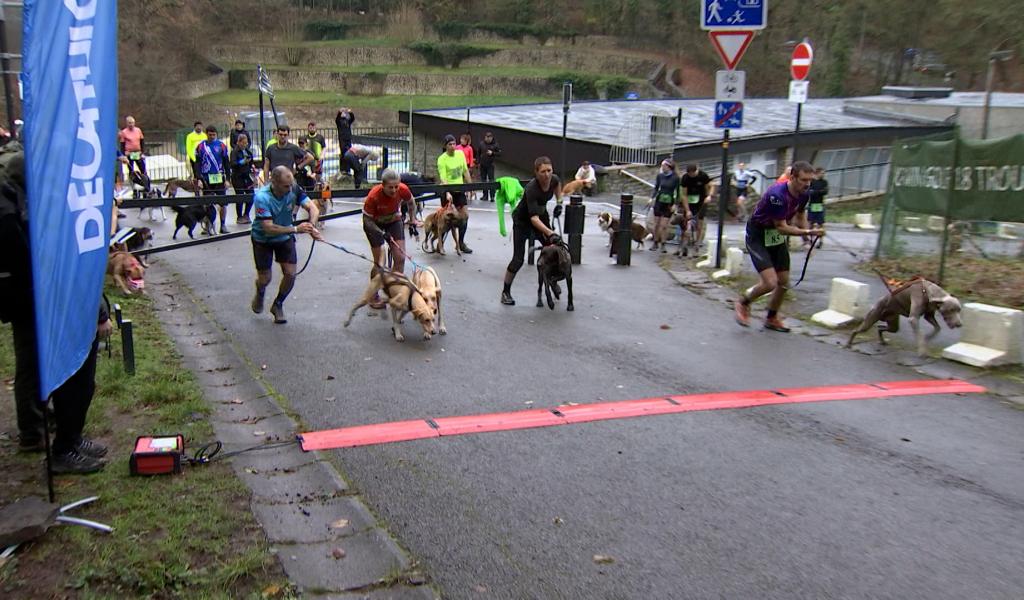 Le 2ème Carolo Dog Trophy a rassemblé de nombreux participants