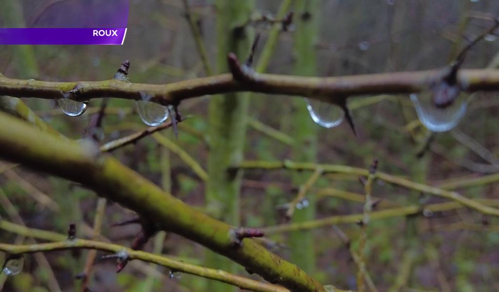 Une balade détox au cœur du passé minier du Martinet à Roux